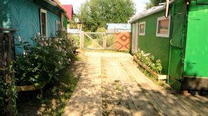 Летние хлопоты 2025.