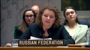 Выступление А.М.Евстигнеевой на брифинге председателей Комитетов СБ ООН
