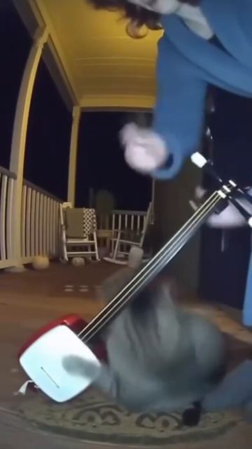 Три часа ночи: наступают Твой кот: 🕺 смотреть онлайн