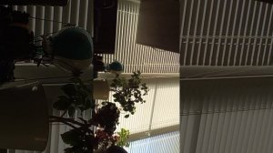 Я заболел (день от моего лица