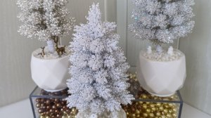 Настольные деревья. Мини садик. https://t.me/minigardenZ