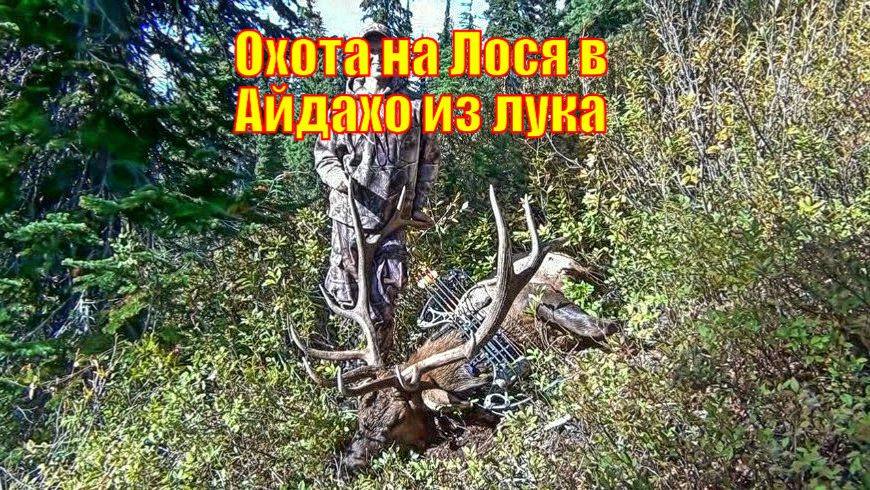 Охота на Лося в Айдахо из лука