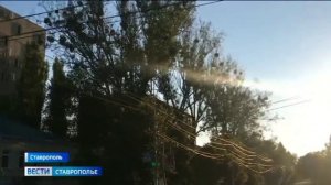 В конце осени на Ставрополье плюс 20 градусов