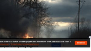 Отец бросил двухлетнюю дочь гореть заживо в авто и получил срок