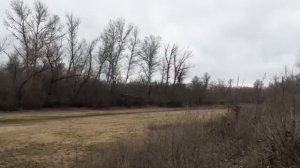 РЫБАЛКА В НОЯБРЕ НА ЩУКУ ОКУНЯ И ПЛОТВУ! Ловля рыбы на поплавок!