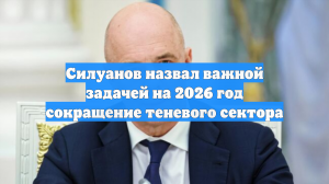 Силуанов назвал важной задачей на 2026 год сокращение теневого сектора