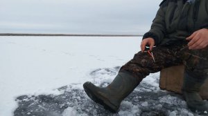 ОЧЕРЕДНАЯ РЫБАЛКА ПО ПЕРВОЛЕДКУ