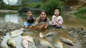 Собираю в пруду многолетнюю рыбу, что бы продать ее на рынке. Жизнь во Вьетнаме