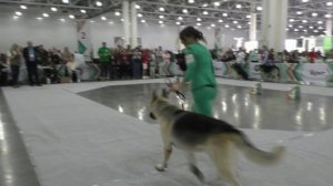 Фиелисс Джексон