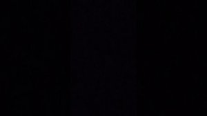 делаю уроки не молчи