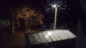 20-11-2025 дождь за окном осень