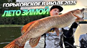 КАК МЫ на Горьковском ЩУКУ ИСКАЛИ! Горьковское вдхр. 2025