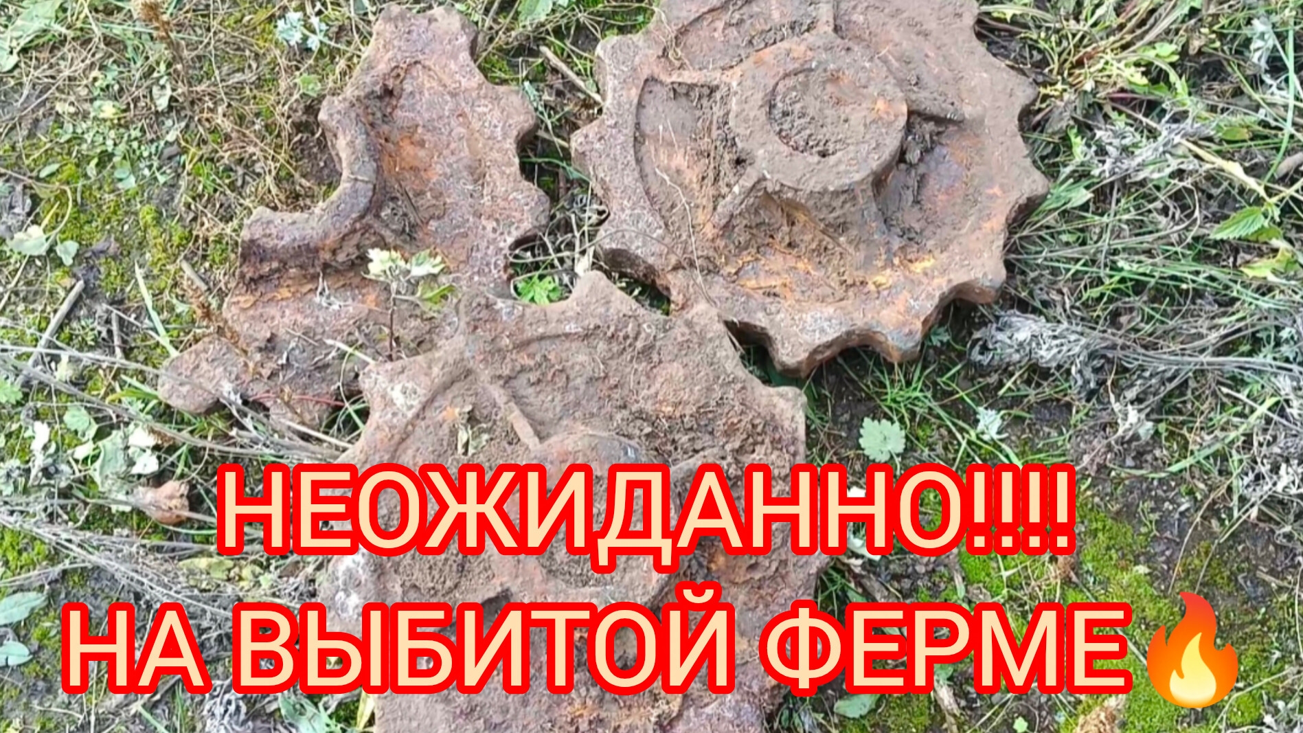 металлокоп, не думали даже , что ещё что то осталось 💪 смотреть онлайн