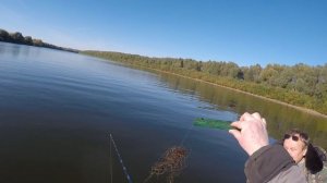 Ловил рыбу а поймал вон чо.)))