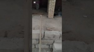 Продолжаем отделочные работы вольеров часть 4