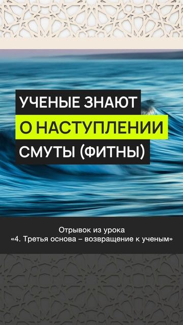 Учёные знают о наступлении смуты (фитны) || Марсэль абу Али #ислам #коран #сунна