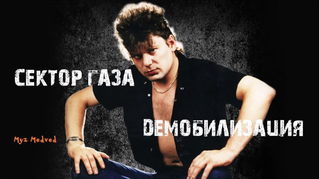 Сектор Газа - Демобилизация