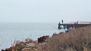 Переезд на Юг. Наловили бычков.