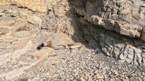 20.11.Этап стр-ва новой набережной, шашлык на море. Анапа.