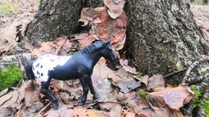 Осенний фотосет🍂🍁🍃