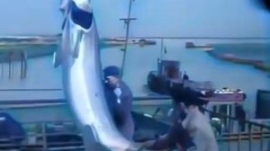 Ловля осетра на реке Дон