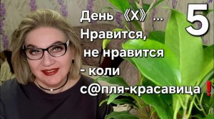 День 《Х》...Нравится, не нравится  - коли с@пля-красавица❗️