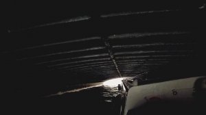 АЛЕКСАНДР КИРНОС
Ко мне спускались странные стихи, 
 они из повседневной чепухи,
 из жалоб на болезн