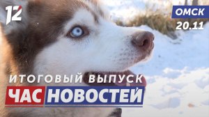 История спасения хаски / Ремонт моста продолжается активно / Сердце матери объединяет. Новости Омска