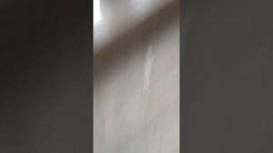 ГУЛЯЮ С ПОДРУГАМИ! #прогулка