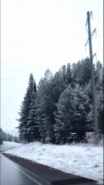 Выпал первый снег в Пермском крае