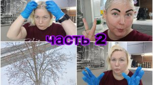 20-11-2025 * Часть 2-ая * Про вес  * Покрасила волосы * Ответы на комментарии