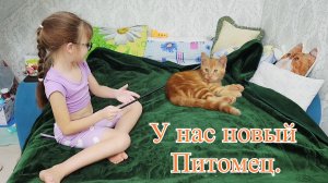 ПРИВЕЗЛИ МЕБЕЛЬ МИЛАНЕ.🏡 У МИЛАНЫ НОВЫЙ ПИТОМЕЦ ТОСИК.🐱🐈