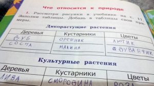 проверка тетради по окружающему миру 1класса