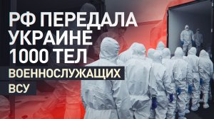 Россия передала Украине 1000 тел военнослужащих ВСУ в рамках обмена по стамбульским договорённостям