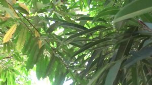 В ботаническом саду Волжского