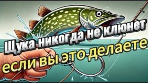 Ошибки при ловле щуки