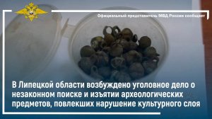 В Липецкой области возбуждено уголовное дело о незаконном поиске и изъятии археологических предметов