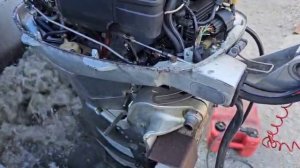 Honda BF40 (3000472)