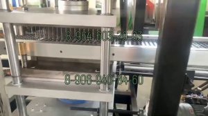 Линия формирования лотков для рассады