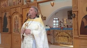 ПОЧЕМУ ЧЕЛОВЕК СТАНОВИТСЯ БЕСНОВАТЫМ? Священник Игорь Сильченков