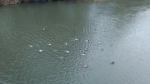 Река Клязьма.