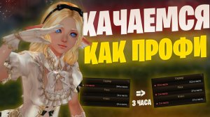 Активно качаем уровень в Lineage 2 Project Samurai