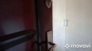 20 ноября укрыла розы,сделала холодец