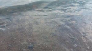 Ох было лето и мы гуляли