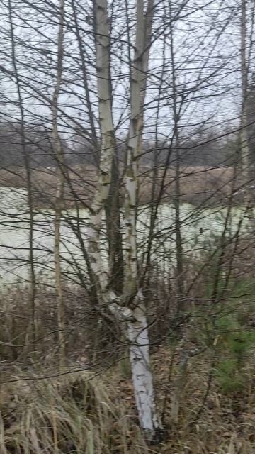 Осень смотреть онлайн