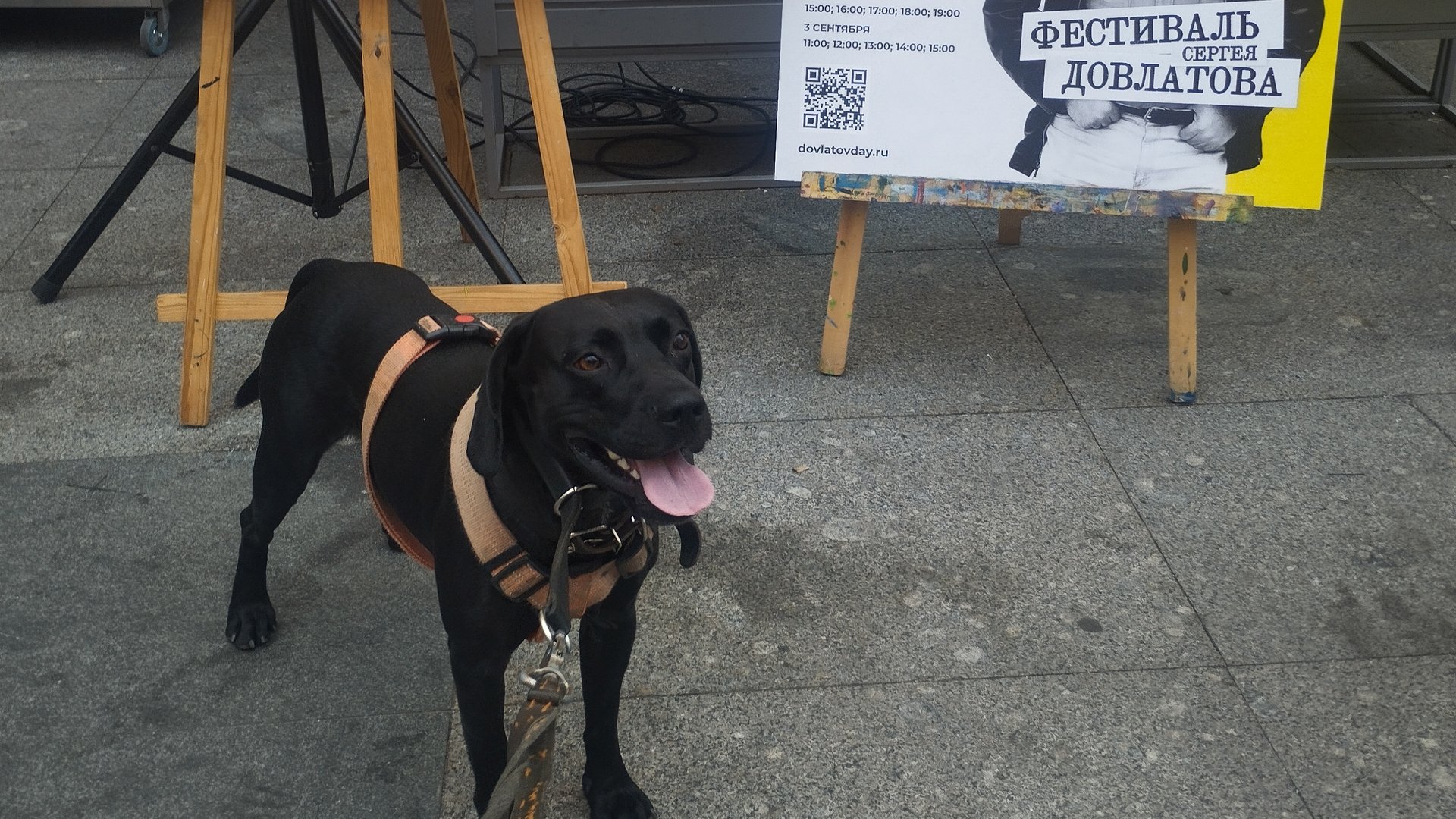 ДеньД @ Сергей Довлатов @ Авторадио @ Волонтеры @ Жил Был Пёс @ Моя Жизнь Кино @ Музей Псов смотреть онлайн