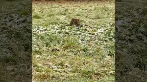 Красота родного края👍