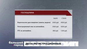 ДЕЛА РЕГИСТРАЦИОННЫЕ. Большой город 20/11/2025