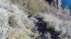 Штольня Часть 7 22.10.2025