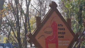 Экскурсия в парк Альпак